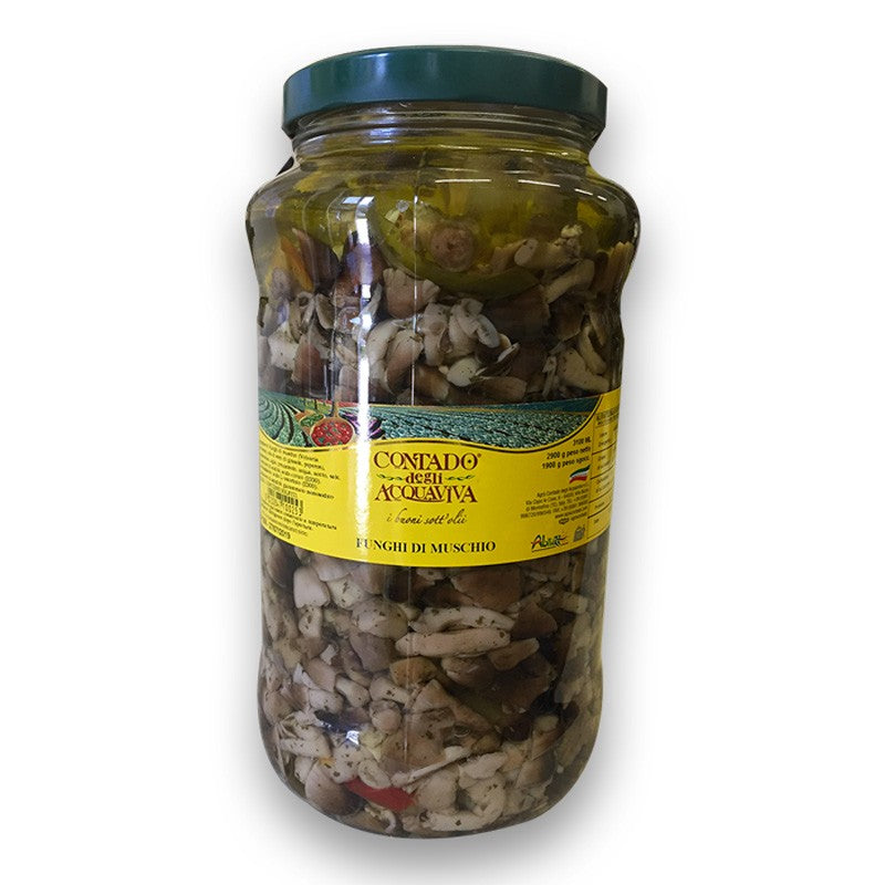 Funghi muschio - 3 kg.