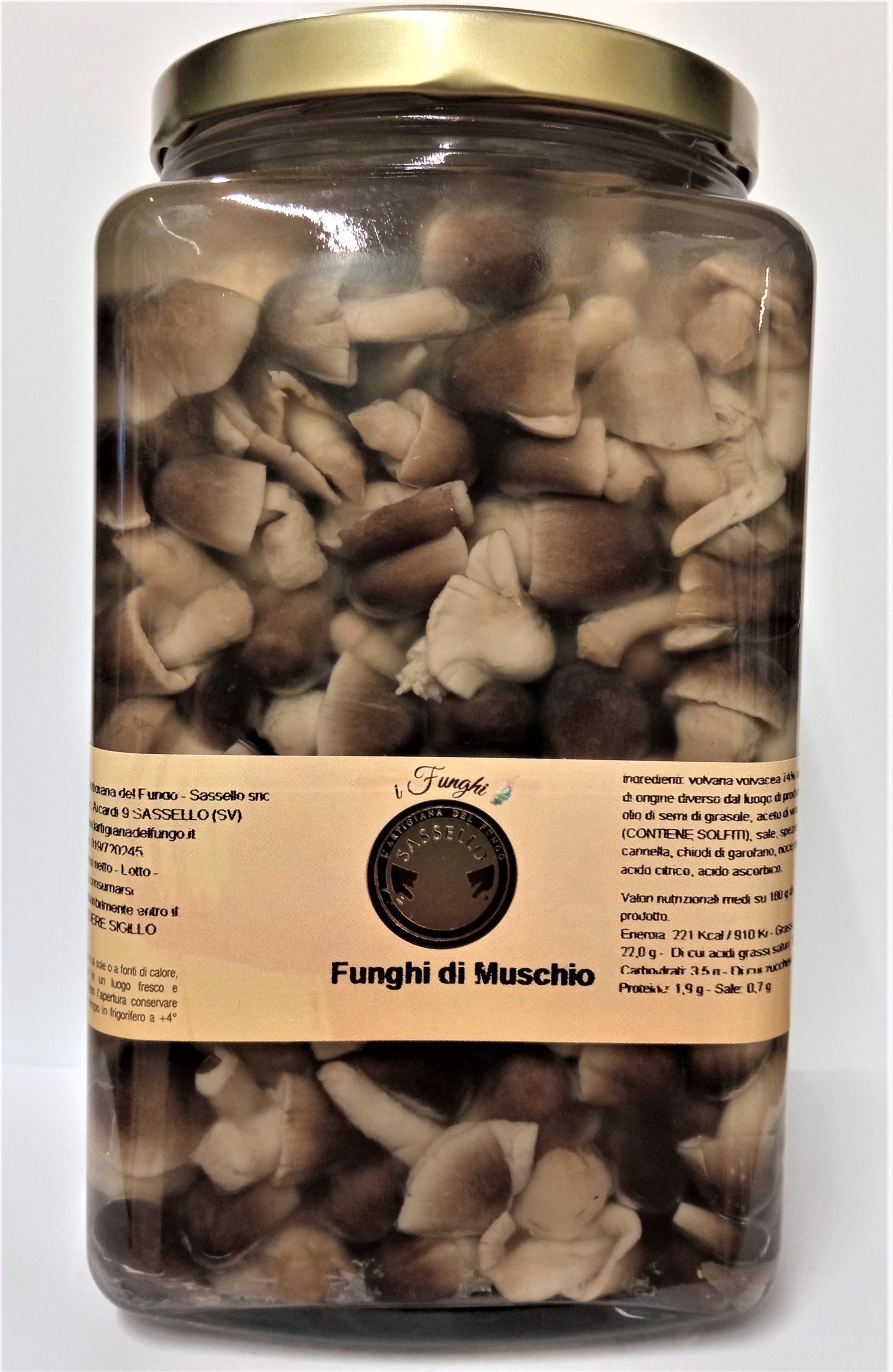 Funghi di muschio