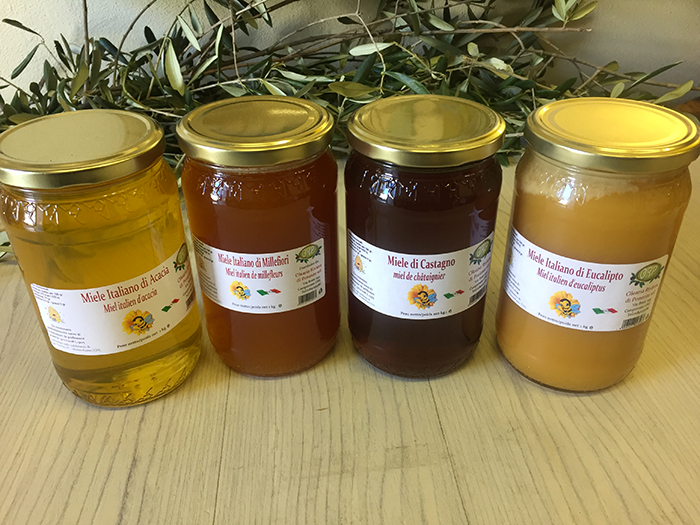 Miel - 250gr / 500gr / 1kg